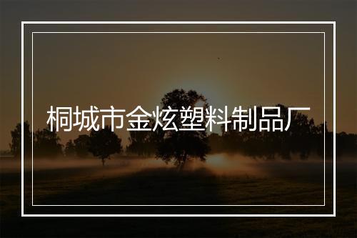 桐城市金炫塑料制品厂