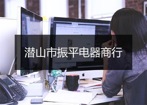 潜山市振平电器商行