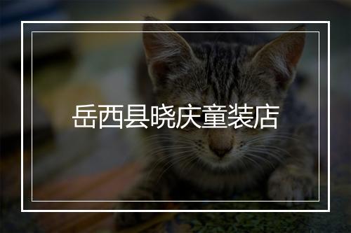 岳西县晓庆童装店