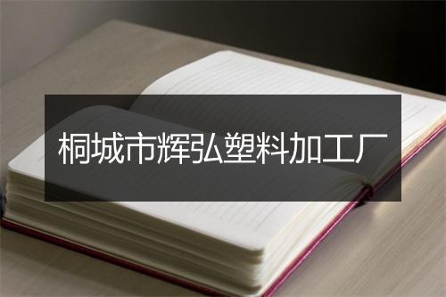 桐城市辉弘塑料加工厂