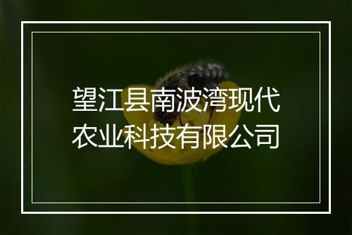 望江县南波湾现代农业科技有限公司