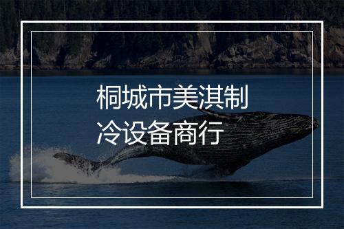 桐城市美淇制冷设备商行
