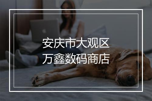 安庆市大观区万鑫数码商店