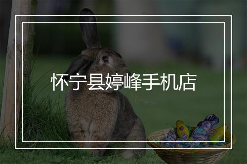 怀宁县婷峰手机店