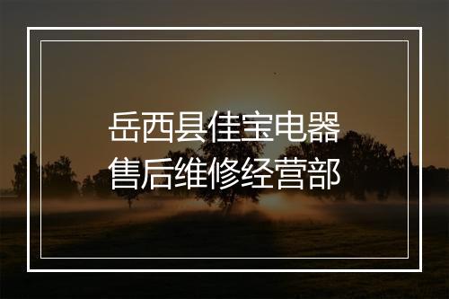 岳西县佳宝电器售后维修经营部