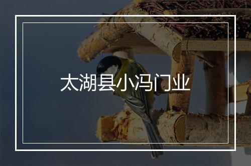 太湖县小冯门业