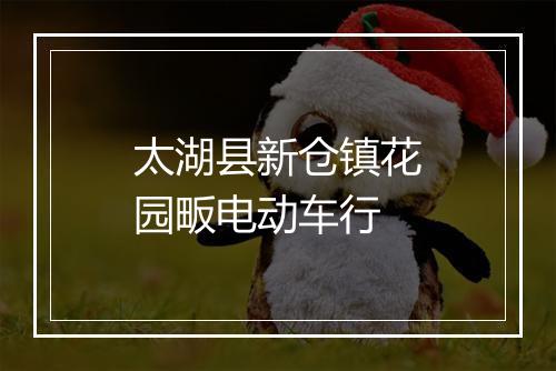 太湖县新仓镇花园畈电动车行