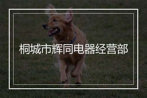 桐城市辉同电器经营部