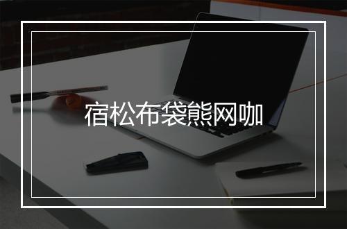 宿松布袋熊网咖