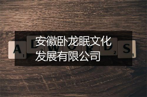 安徽卧龙眠文化发展有限公司