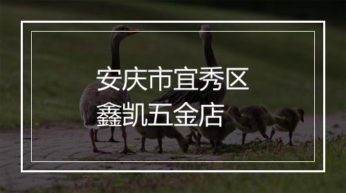 安庆市宜秀区鑫凯五金店