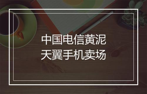 中国电信黄泥天翼手机卖场