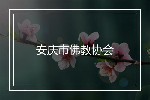 安庆市佛教协会