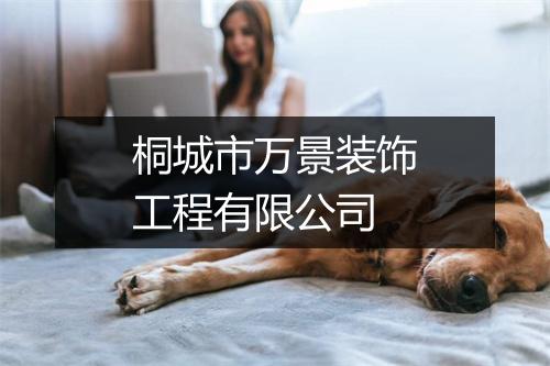 桐城市万景装饰工程有限公司