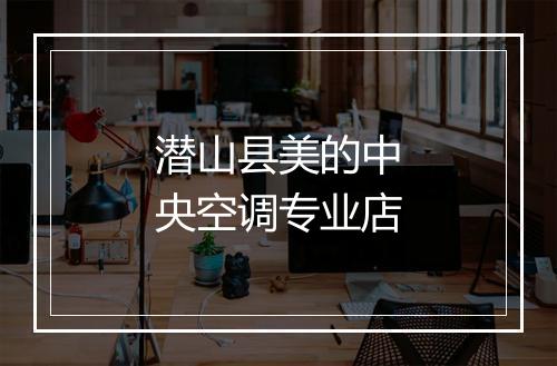 潜山县美的中央空调专业店