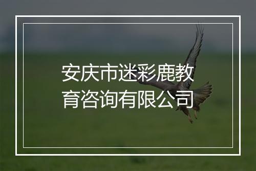 安庆市迷彩鹿教育咨询有限公司