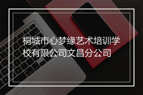 桐城市心梦缘艺术培训学校有限公司文昌分公司