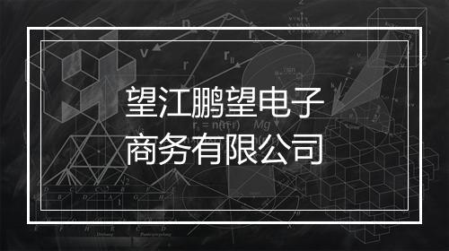 望江鹏望电子商务有限公司