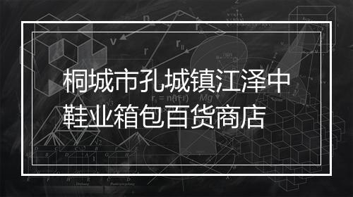 桐城市孔城镇江泽中鞋业箱包百货商店