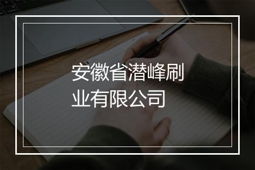 安徽省潜峰刷业有限公司