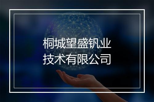 桐城望盛钒业技术有限公司