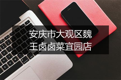 安庆市大观区魏王卤卤菜宜园店