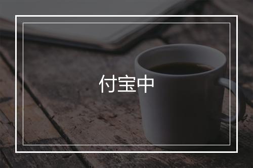 付宝中