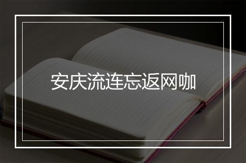 安庆流连忘返网咖