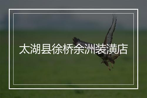 太湖县徐桥余洲装潢店