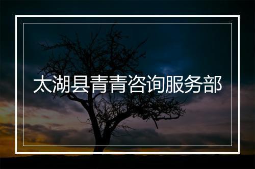 太湖县青青咨询服务部