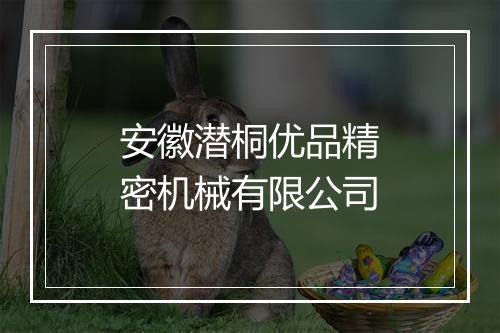 安徽潜桐优品精密机械有限公司