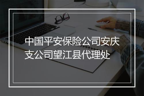 中国平安保险公司安庆支公司望江县代理处