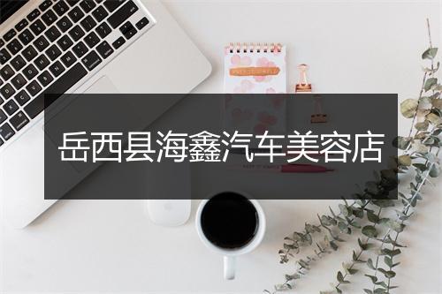 岳西县海鑫汽车美容店