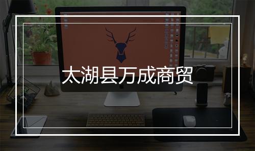 太湖县万成商贸