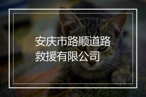安庆市路顺道路救援有限公司