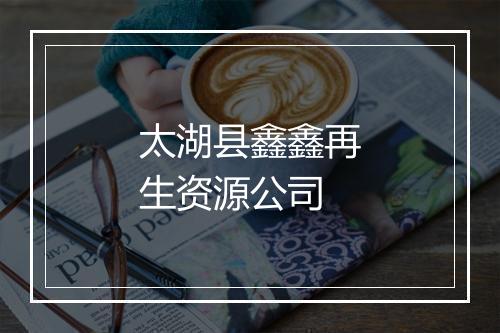 太湖县鑫鑫再生资源公司