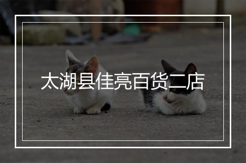 太湖县佳亮百货二店