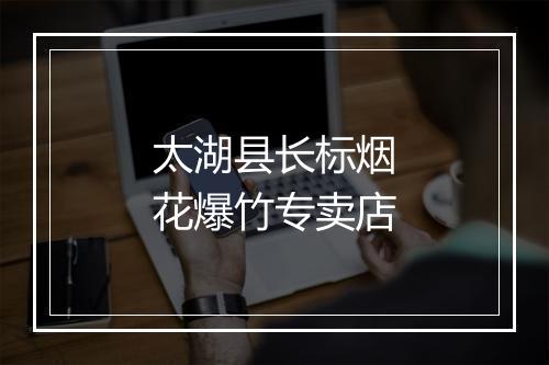 太湖县长标烟花爆竹专卖店