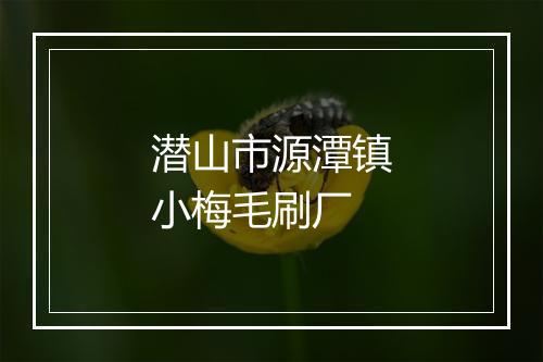 潜山市源潭镇小梅毛刷厂