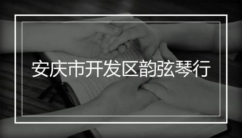 安庆市开发区韵弦琴行
