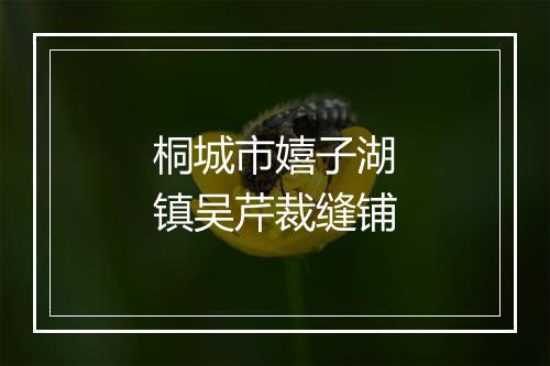 桐城市嬉子湖镇吴芹裁缝铺