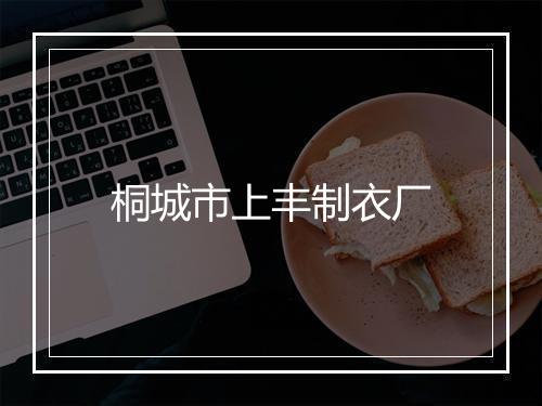 桐城市上丰制衣厂