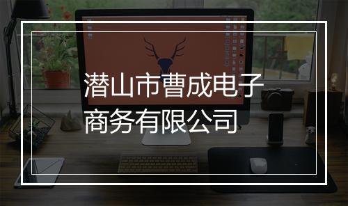 潜山市曹成电子商务有限公司