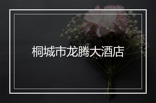 桐城市龙腾大酒店