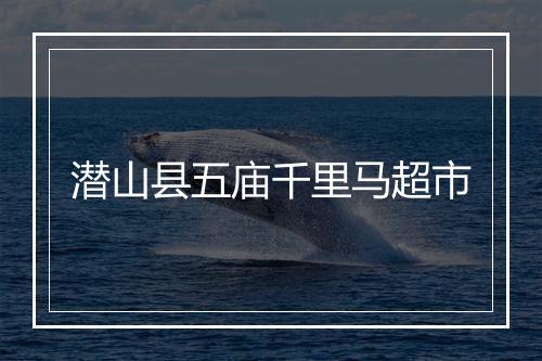 潜山县五庙千里马超市