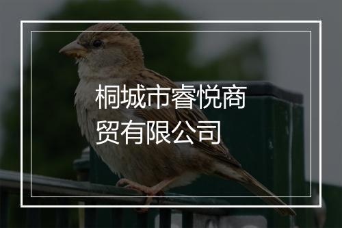 桐城市睿悦商贸有限公司