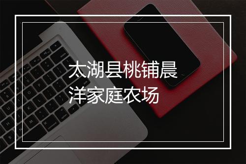 太湖县桃铺晨洋家庭农场