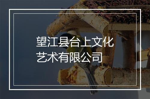 望江县台上文化艺术有限公司