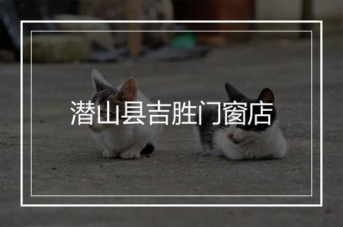 潜山县吉胜门窗店