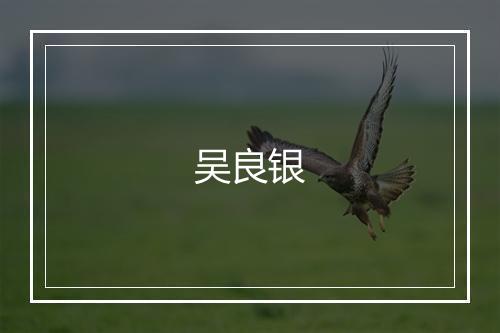 吴良银